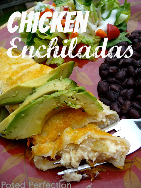 Monday-Funday-Chicken-Enchiladas