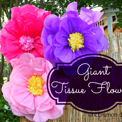 How to Make Giant Tissue Paper Flowers