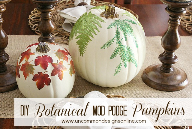 DIY Botanical Mod Podge Pumpkins