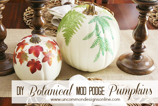 DIY Botanical Mod Podge Pumpkins by Uncommon Designs