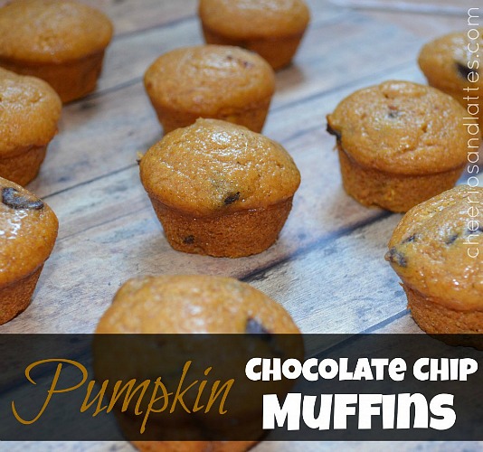 Fall_desserts_Pumpkin-Chocolate-Chip-Muffins-pumpkin-muffins_cheeriosandlattes