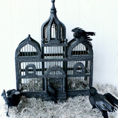 Haunted Birdcage for Halloween