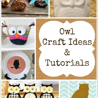 12 Fall Owl Crafts Ideas and Tutorials