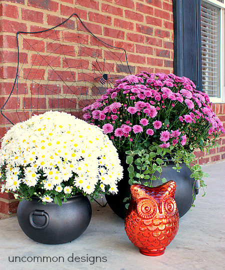 forged cauldron planters 