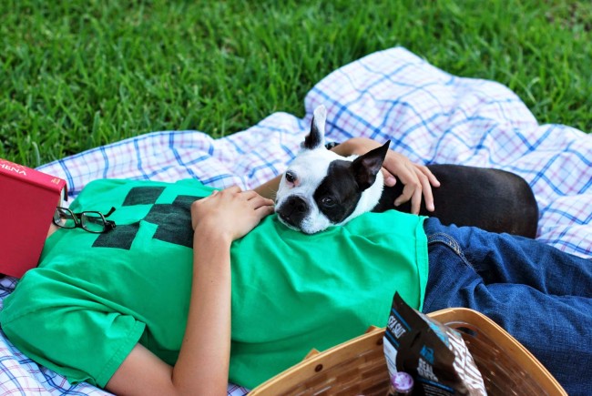 Make a Quick and Easy One Hour Picnic Quilt #OneCraftySummer