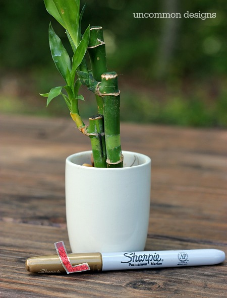 Sharpie Monogrammed Pots with Bamboo... wishing everyone luck during the Back to School frenzy!  via Uncommon Designs