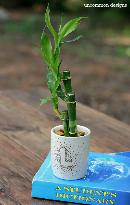 Sharpie Monogrammed Pots with Bamboo... wishing everyone luck during the Back to School frenzy!  via Uncommon Designs