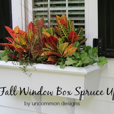 How To Plant A Fall Window Box