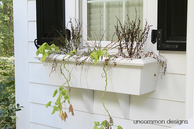 Fall window box spruce up 