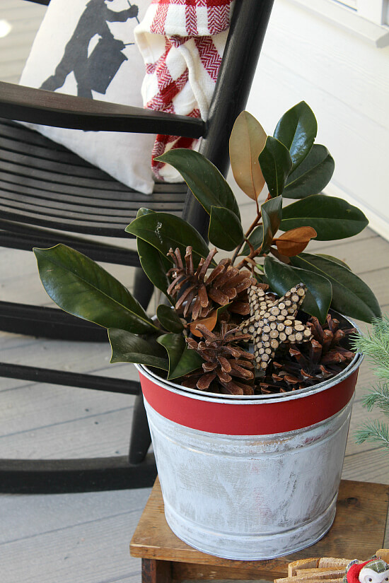 striped bucket magnolia pinecones uncommon designs