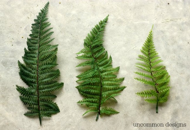 Make a DIY Faux Fern Wreath for Summer with Uncommon Designs