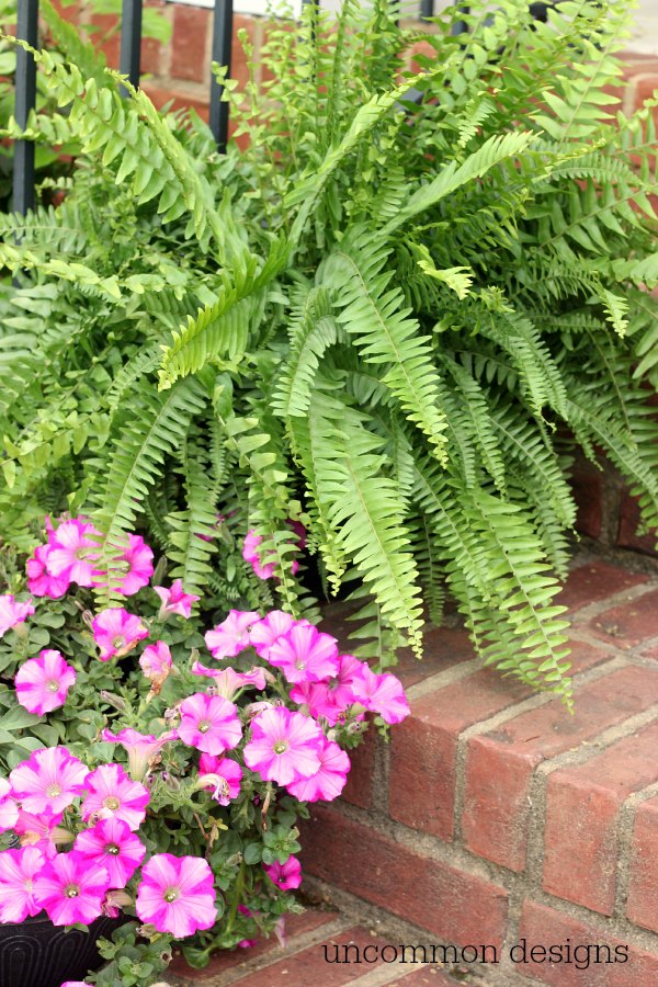 Make a DIY Faux Fern Wreath for Summer with Uncommon Designs