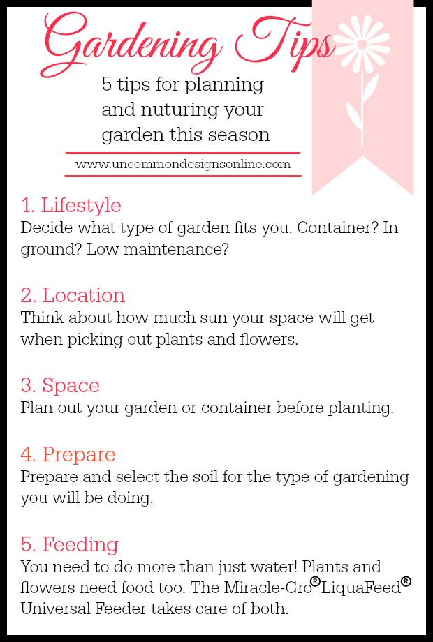 5 tips to plan and nurture your garden this season from Uncommon Designs.