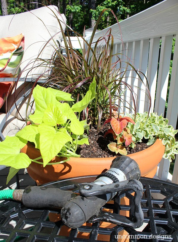 Miracle-Gro Liquafeed Universal Feeder makes watering and feeding your garden a breeze via Uncommon Designs.