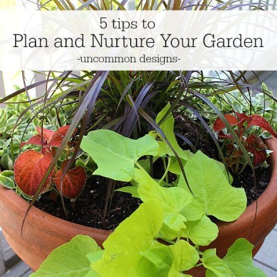 5 Tips To Plan and Nurture Your Garden
