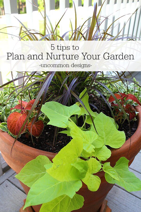 5 tips to plan and nurture your garden this season from Uncommon Designs.