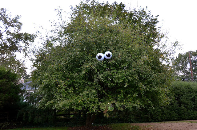 Eyeballs in a Tree by Princess and the Frog