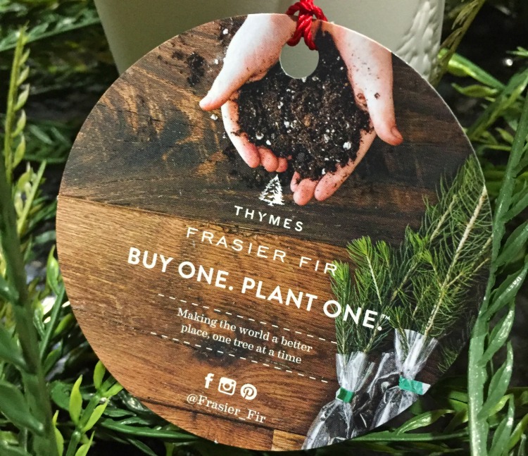 This year decorate and give with a purpose with Thymes candles and their Buy One. Plant One. Campaign #ad #TheBestGiftEver