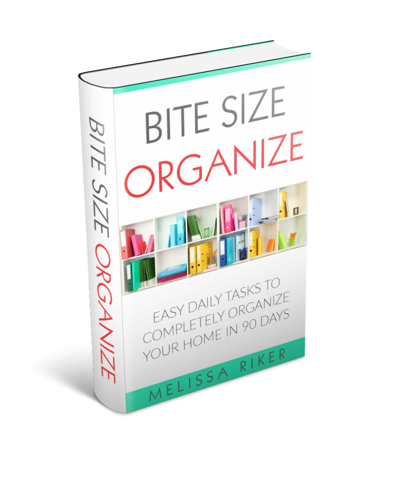 Bite Size Organize Book