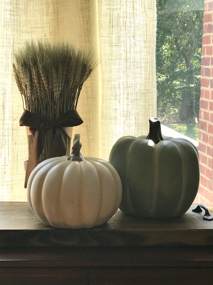 Decorate your home with a touch of fall home decor. Bring the season into your home even when it doesn't feel like it outside! 