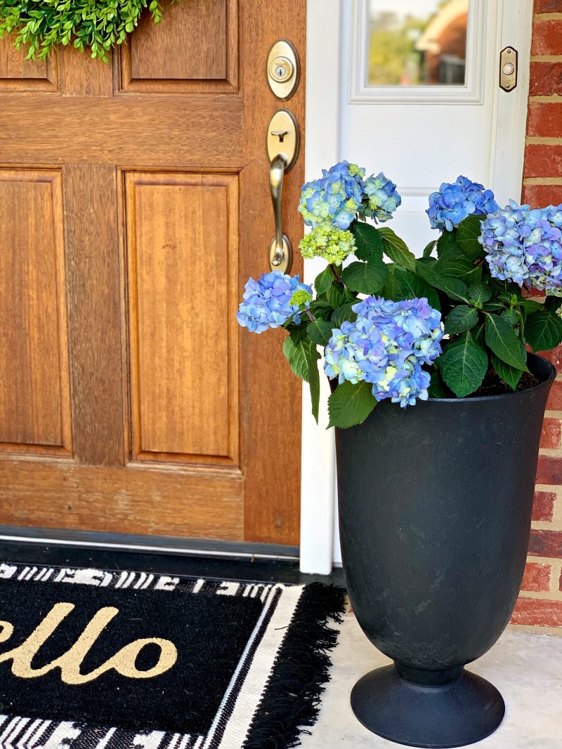 A Grown Up Summer Porch: Endless Summer® Hydrangeas have made my summer front porch absolutely stunning! Loving this fun porch decor! 